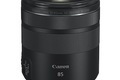 Canon RF 85mm f/2 Macro IS STM