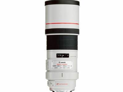 Canon EF 300mm f/4 L IS USM + ET-73B zonnekap