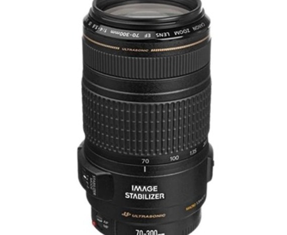 Canon EF 70-300mm f/4-5.6 IS USM